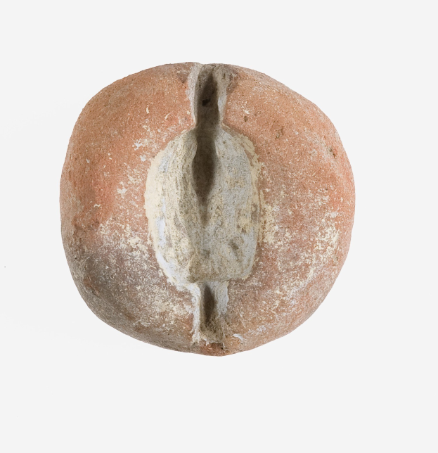 Ein hellbraunes Roggenbrot mit einer leicht rauen, knusprigen Kruste und einem weichen, fluffigen Inneren auf einem weißen Hintergrund.