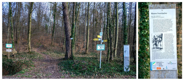 Ein Collage aus zwei Bildern, die einen bewaldeten Wanderweg mit trockenen Blättern am Boden und ein Informationsschild mit Text und Bildern umgeben von Bäumen und Pflanzen zeigen.