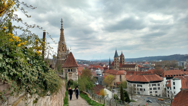 Eine Gruppe von Menschen, die einen Pfad neben einer Steinmauer mit Efeu entlanggehen, mit üppiger Vegetation und Gebäuden im Hintergrund, die die Schönheit von Heidelberg, Deutschland, einfängt.
