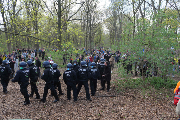 Eine Gruppe von Polizisten mit Helmen steht in einem bewaldeten Gebiet mit B├Ąumen, Pflanzen und trockenen Bl├Ąttern auf dem Boden, mit dem Himmel im Hintergrund.
