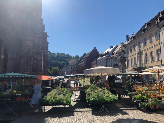 Ein belebter Markt im alten Stadtzentrum von Heidelberg mit Menschen an Tischen sitzend und stehend, die Blumentöpfe und Schirme halten, vor Gebäuden, Bäumen und einem klaren blauen Himmel.