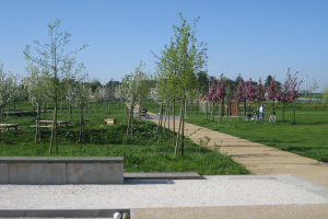 Ein Park mit einem gewundenen Pfad, der von Bäumen und Bänken gesäumt ist und wo Menschen Fahrräder fahren, vor einem Hintergrund aus Gebäuden und einem klaren blauen Himmel, mit saftig grünem Gras, das den Boden bedeckt.