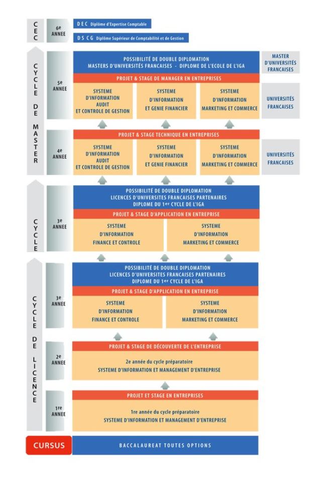 Diagramm, das die Organisationsstruktur eines Unternehmens mit Phasen des Unternehmenswachstums darstellt, dargestellt durch verbundene Kästchen und Pfeile, die jeweils Rollen und Verantwortlichkeiten beschreiben.