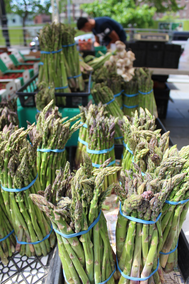Frische Spargelbündel auf einem Bauernmarkt zum Verkauf ausgestellt, mit einer Person im Hintergrund zwischen Bäumen, Gebäuden und unter einem klaren blauen Himmel.
