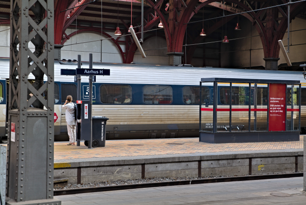 Ein Zug fährt auf einem Bahnsteig ein, neben einer Person, einem Mülleimer, Pfosten, Texttafeln und Deckenleuchten.