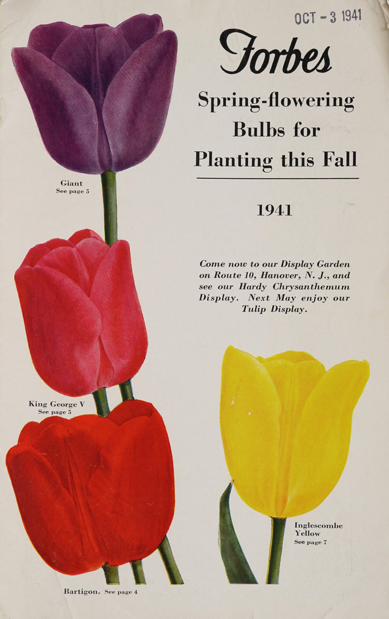 Plakat mit drei symmetrisch angeordneten roten, gelben und violetten Tulpen auf einem weißen Hintergrund mit der Aufschrift "Forbes Frühlingsblüher für die Pflanzung in diesem Herbst 1941" oben.