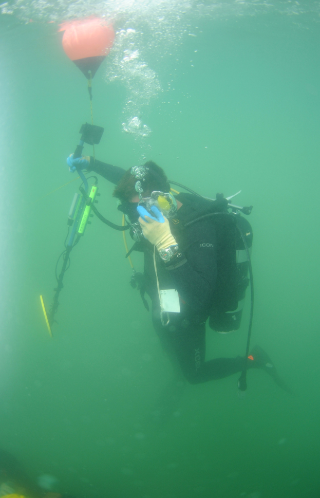 Ein Tauchender in einem schwarzen Neoprenanzug mit einem Sauerstofftank, der ein Objekt unter Wasser hält.